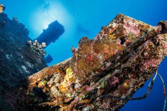 21042024-0C9A5767-scaled