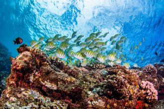 21082018-_U2A1002-scaled