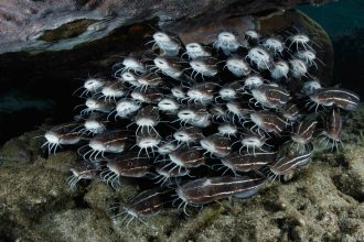 22062023-0C9A5284-scaled