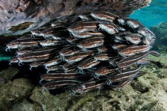 22062023-0C9A5310-scaled