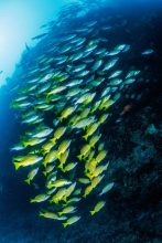 22092023-0C9A0214-scaled