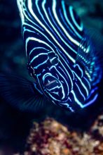 23022019-_U2A6086-scaled