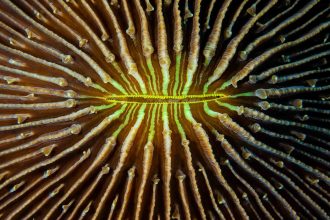 23102018-_U2A3134-scaled