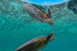 24092022-3U2A0331-scaled