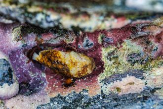 24092023-0C9A0351-scaled