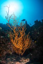 25052019-_U2A9820-scaled