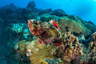 25082018-_U2A1043-scaled