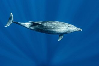 25092021-3U2A2836-scaled