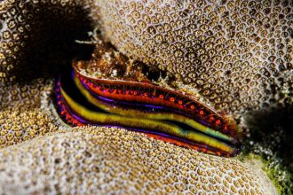 25102023-0C9A2693-scaled