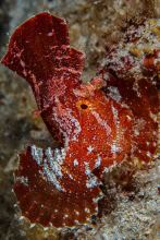 09032013-_MG_1317