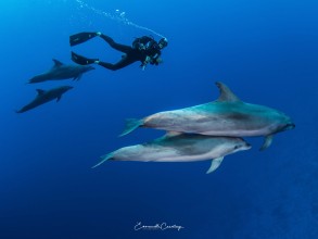 17092016-17092016-ECdauphin-0332
