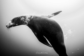 06042017-06042017-_U2A8431